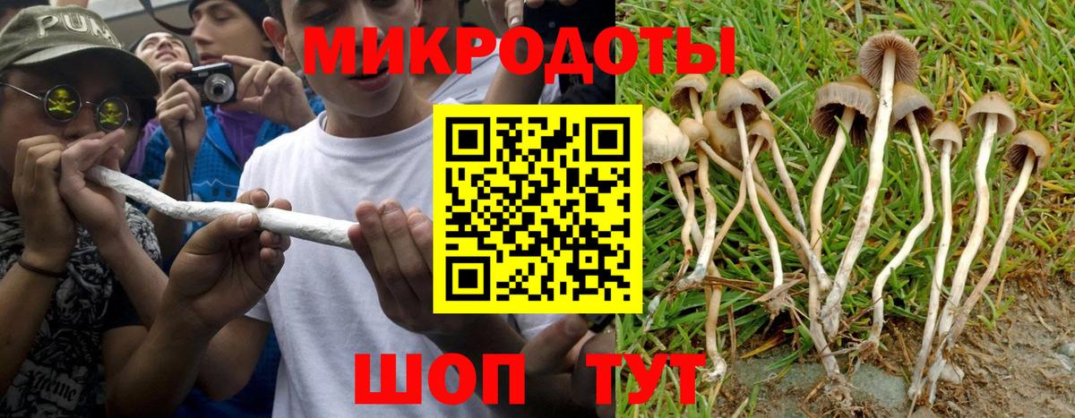 Псилоцибиновые грибы Psilocybe  Вход с VPN  Кинешма 