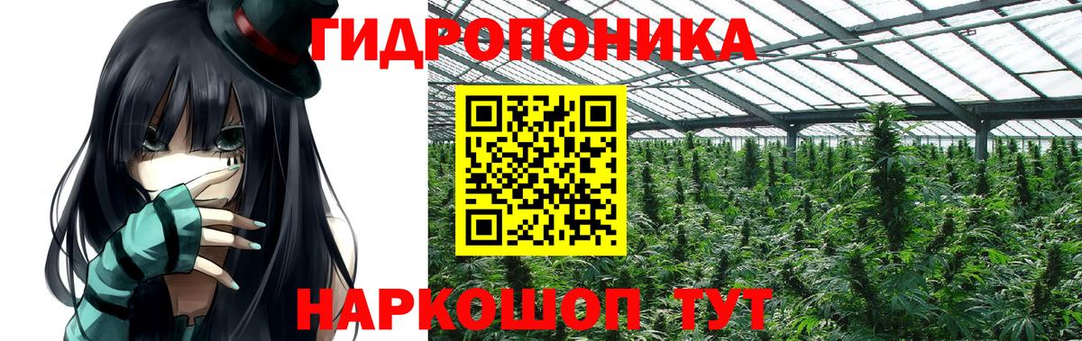 Шишки марихуана ГИДРОПОН Кинешма